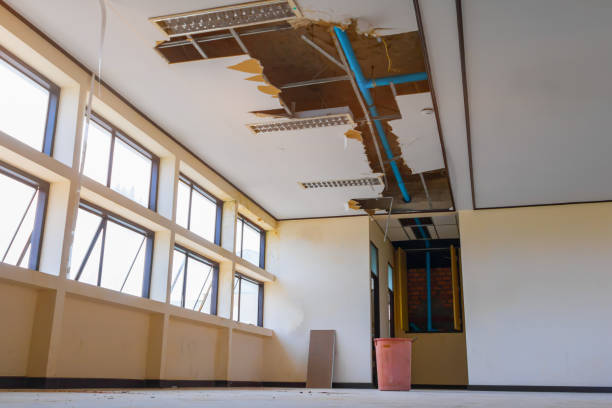 Best Basement water damage restoration  in White Rock, NM
