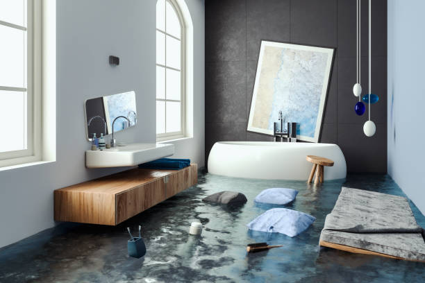 Best Water damage contractors near me  in White Rock, NM