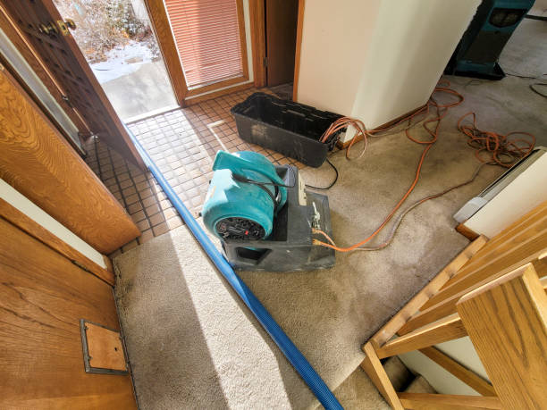 Best Water damage restoration near me  in White Rock, NM