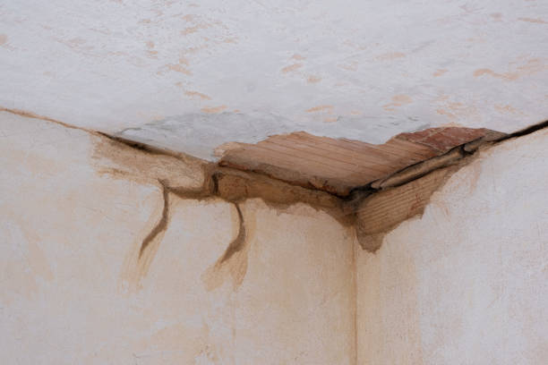 Best Water damage restoration near me  in White Rock, NM