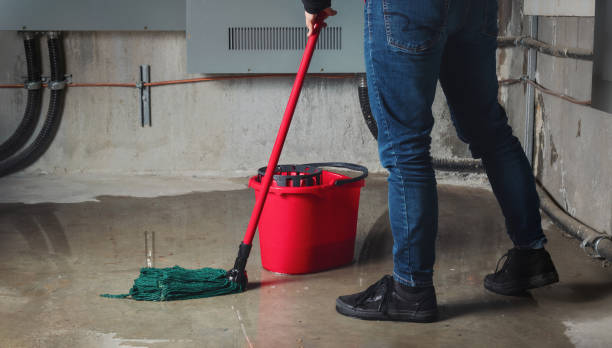 Carpet water damage restoration in White Rock, NM