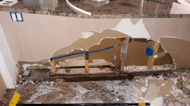 Best Flood damage cleanup  in White Rock, NM