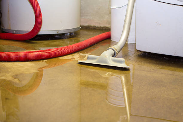Best Ceiling water damage repair  in White Rock, NM