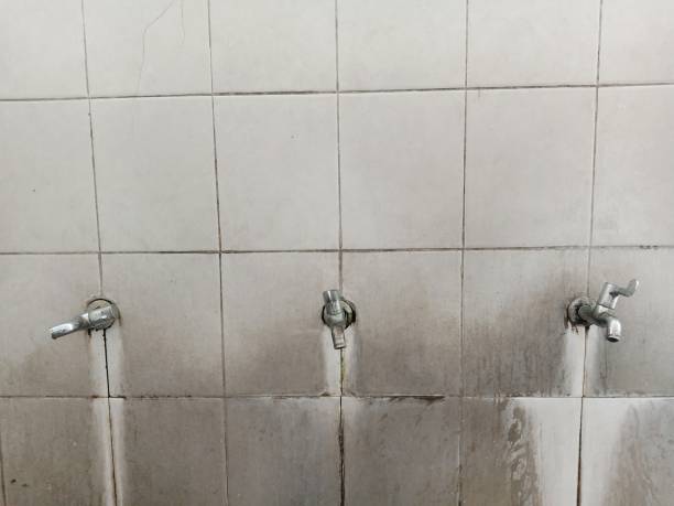 Best Water damage restoration near me  in White Rock, NM