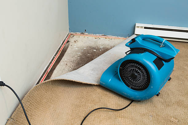 Best Water damage cleanup near me  in White Rock, NM